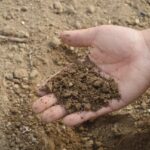 soil, hand, farm