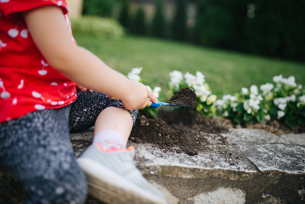 Choosing the Right Soil for Your Vegetable Garden