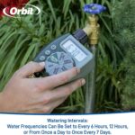 Orbit 62061Z Single-Outlet Hose Watering Timer Review