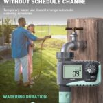 RAINPOINT Sprinkler Timer Review