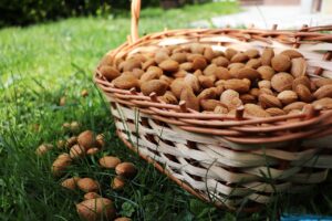 almond, raw almonds, badam