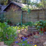 Maximizing Space in Your Vegetable Garden