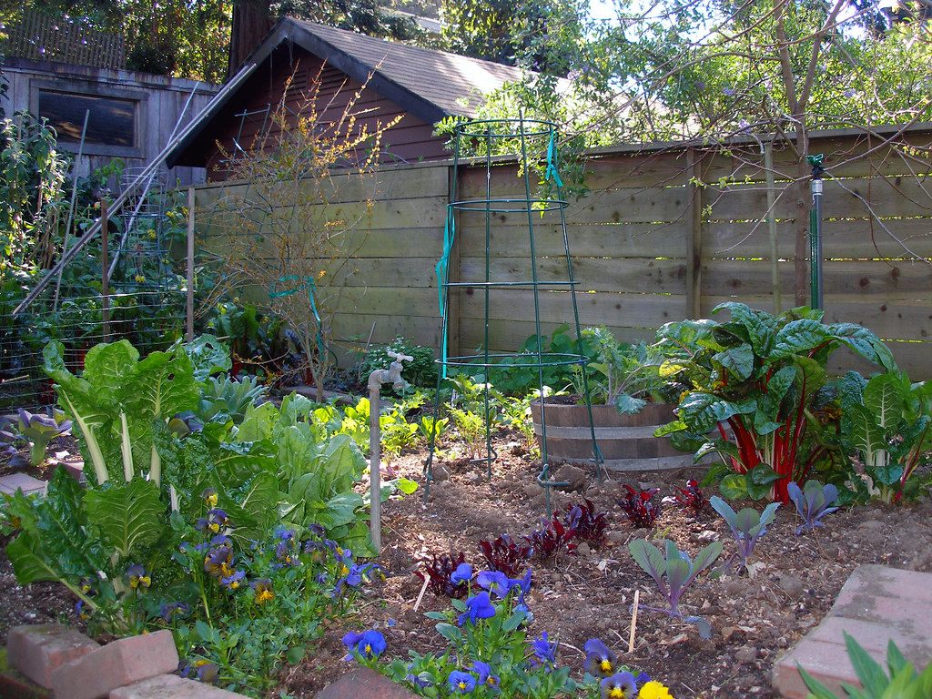 Maximizing Space in Your Vegetable Garden