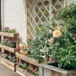 Garden Flowers on Wooden Planters