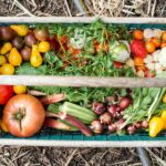 yellow and red tomatoes on green plastic crate