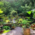 green plants on brown clay pots