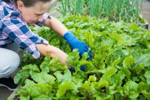 a woman kneeling down in a garden with lots of green plants