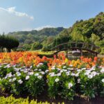 a bridge over a river surrounded by lots of flowers