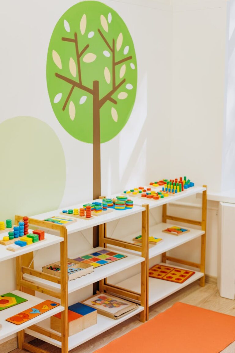 Educational Toys on Shelves